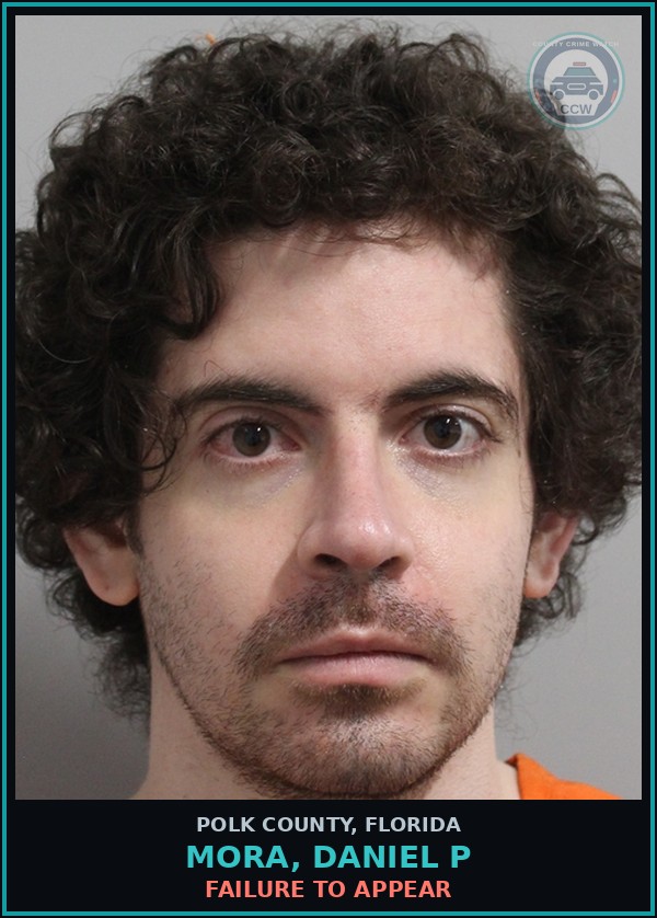 Booking mugshot of MORA, DANIEL P in Polk County