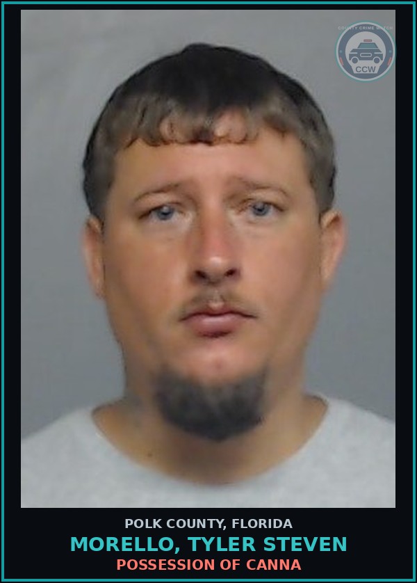 Booking mugshot of MORELLO, TYLER STEVEN in Polk County