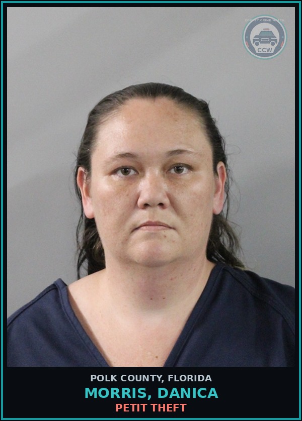 Booking mugshot of MORRIS, DANICA in Polk County
