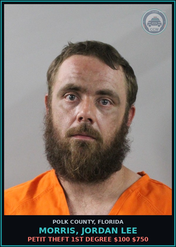 Booking mugshot of MORRIS, JORDAN LEE in Polk County