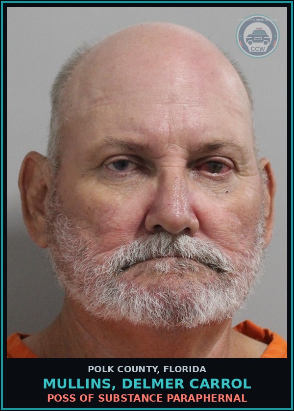 Booking mugshot of MULLINS, DELMER CARROL in Polk County
