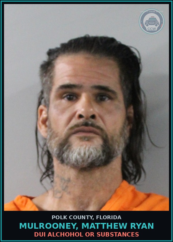 Booking mugshot of MULROONEY, MATTHEW RYAN in Polk County