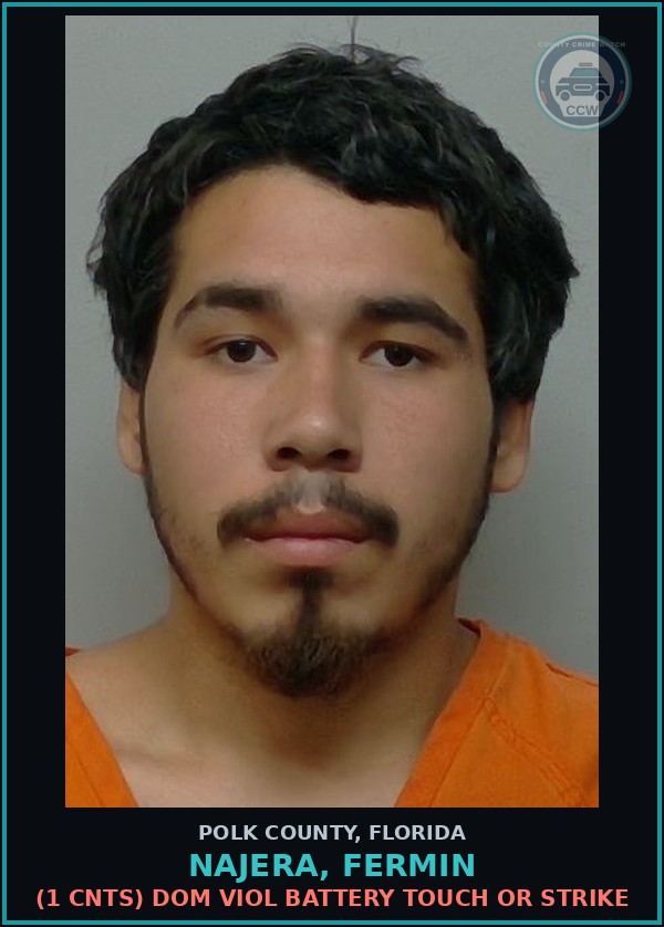 Booking mugshot of NAJERA, FERMIN in Polk County