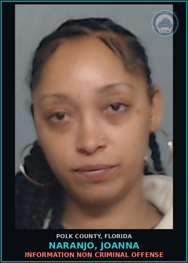 Booking mugshot of NARANJO, JOANNA in Polk County
