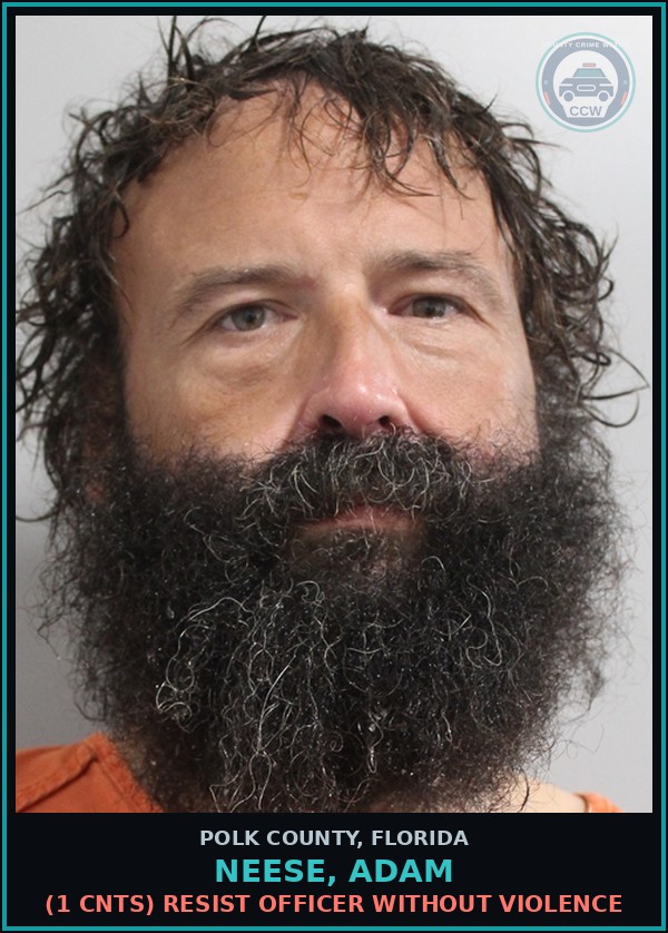 Booking mugshot of NEESE, ADAM in Polk County