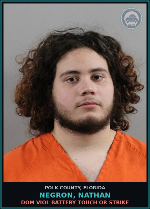 Booking mugshot of NEGRON, NATHAN in Polk County