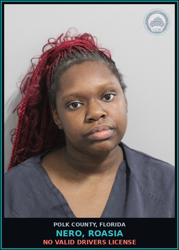 Booking mugshot of NERO, ROASIA in Polk County