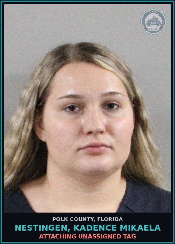 Booking mugshot of NESTINGEN, KADENCE MIKAELA in Polk County