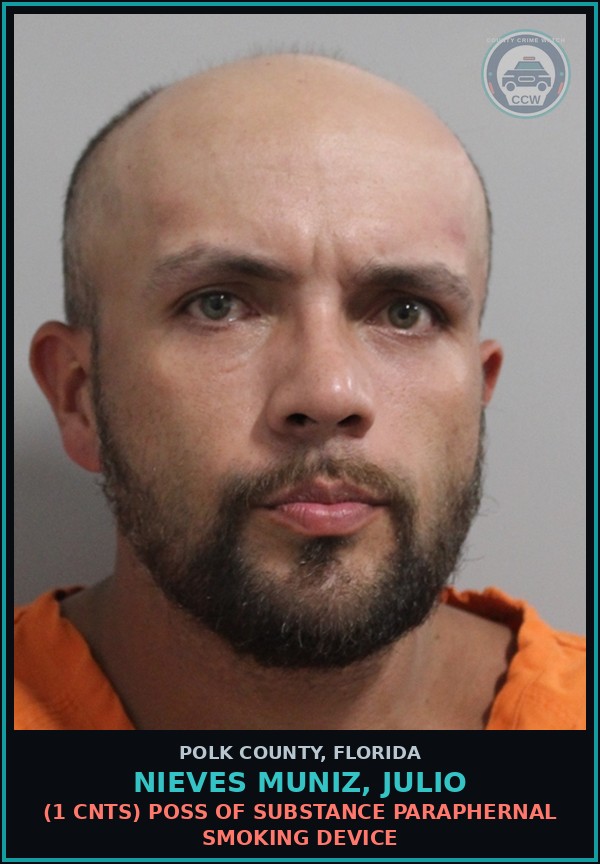 Booking mugshot of NIEVES MUNIZ, JULIO in Polk County
