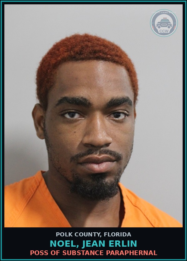 Booking mugshot of NOEL, JEAN ERLIN in Polk County