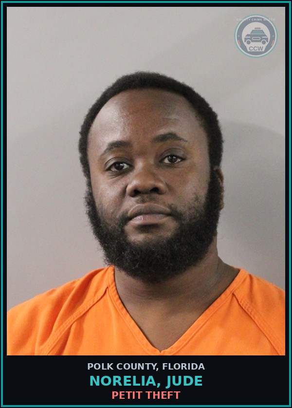 Booking mugshot of NORELIA, JUDE in Polk County