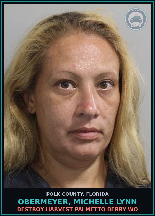 Booking mugshot of OBERMEYER, MICHELLE LYNN in Polk County