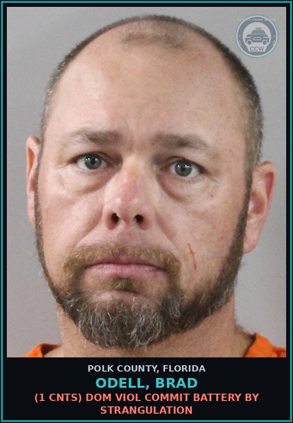 Booking mugshot of ODELL, BRAD in Polk County