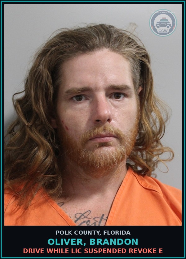Booking mugshot of OLIVER, BRANDON in Polk County