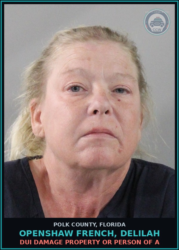 Booking mugshot of OPENSHAW FRENCH, DELILAH in Polk County