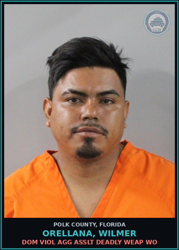 Booking mugshot of ORELLANA, WILMER in Polk County