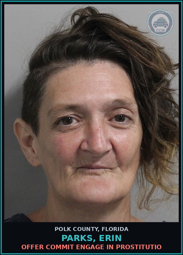 Booking mugshot of PARKS, ERIN in Polk County
