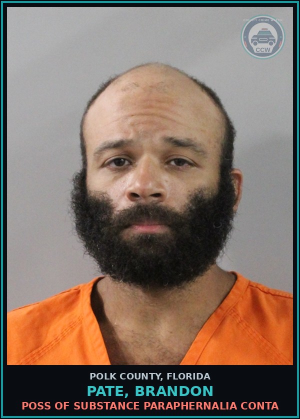 Booking mugshot of PATE, BRANDON in Polk County