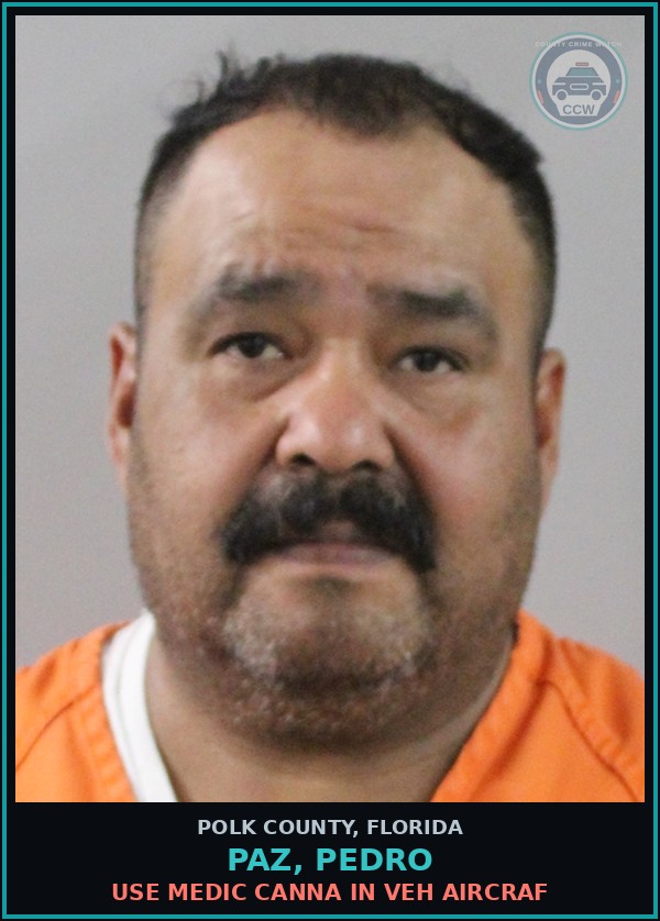 Booking mugshot of PAZ, PEDRO in Polk County