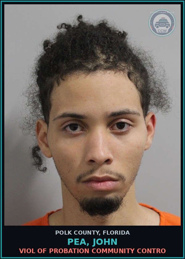 Booking mugshot of PEA, JOHN in Polk County