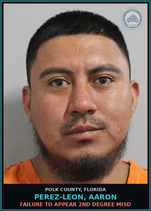 Booking mugshot of PEREZ-LEON, AARON in Polk County