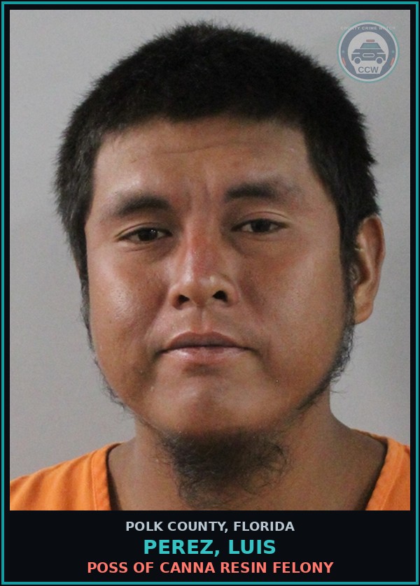 Booking mugshot of PEREZ, LUIS in Polk County