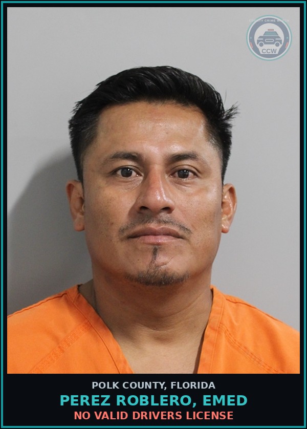 Booking mugshot of PEREZ ROBLERO, EMED in Polk County