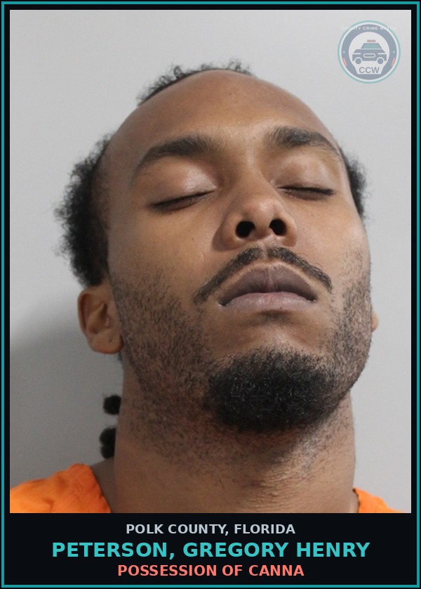 Booking mugshot of PETERSON, GREGORY HENRY in Polk County