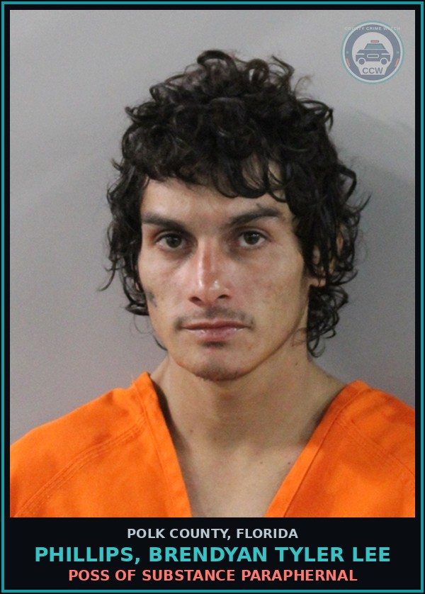 Booking mugshot of PHILLIPS, BRENDYAN TYLER LEE in Polk County