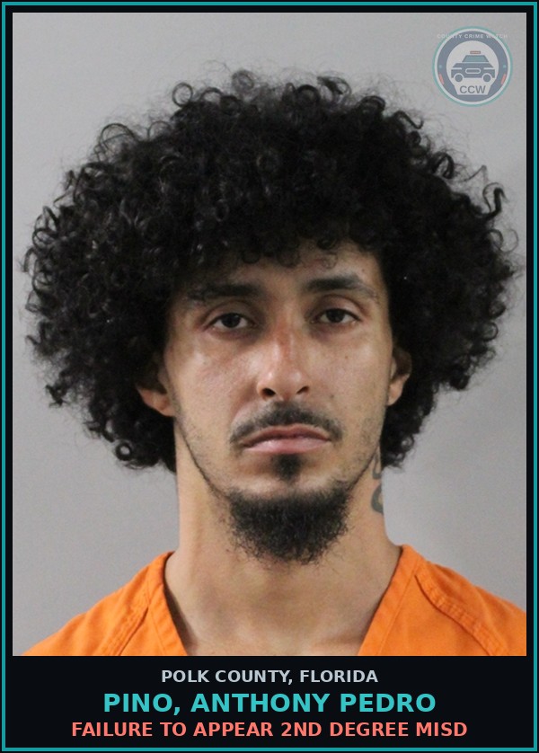 Booking mugshot of PINO, ANTHONY PEDRO in Polk County