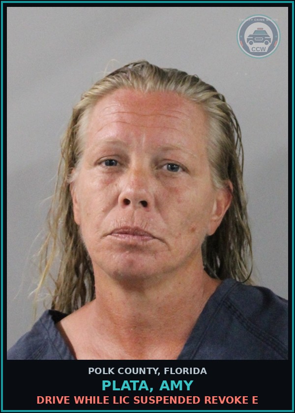 Booking mugshot of PLATA, AMY in Polk County
