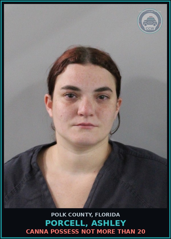Booking mugshot of PORCELL, ASHLEY in Polk County