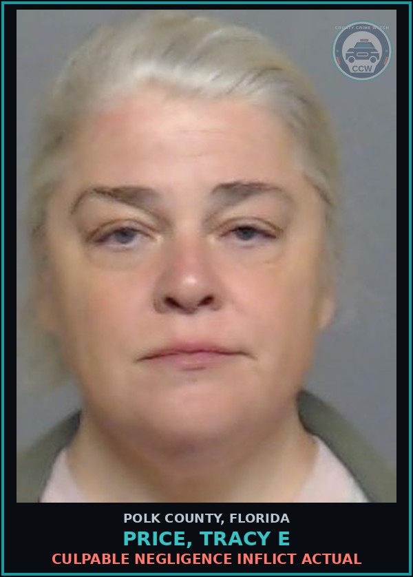 Booking mugshot of PRICE, TRACY E in Polk County