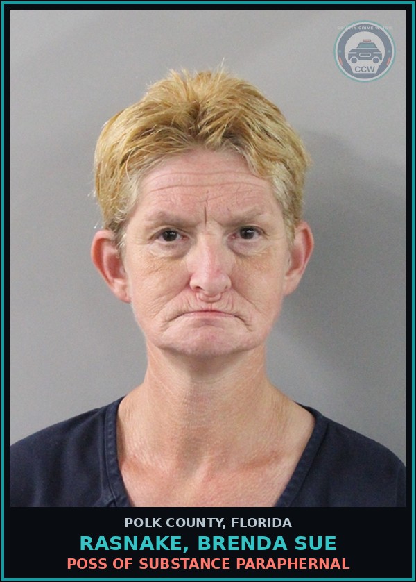 Booking mugshot of RASNAKE, BRENDA SUE in Polk County