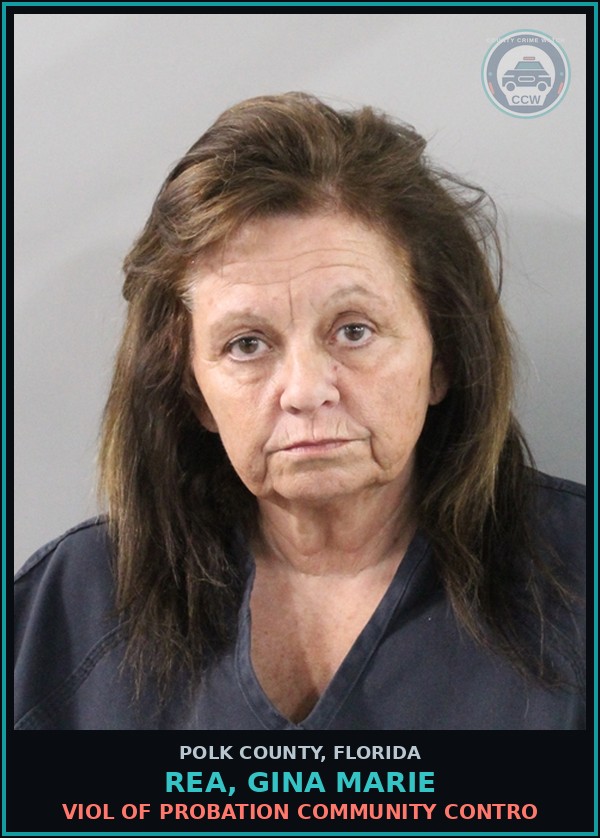 Booking mugshot of REA, GINA MARIE in Polk County
