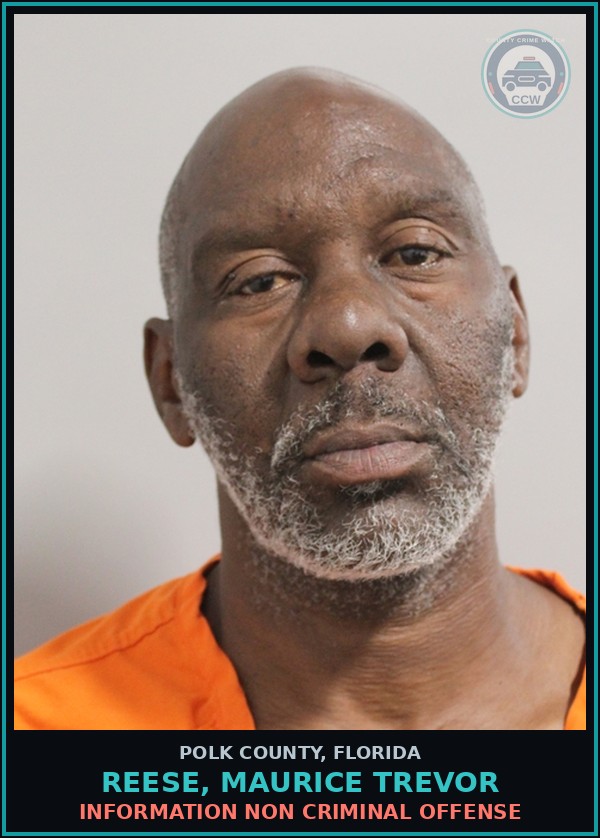 Booking mugshot of REESE, MAURICE TREVOR in Polk County