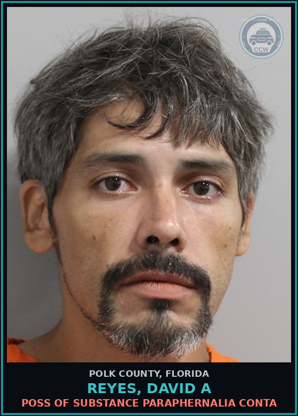 Booking mugshot of REYES, DAVID A in Polk County