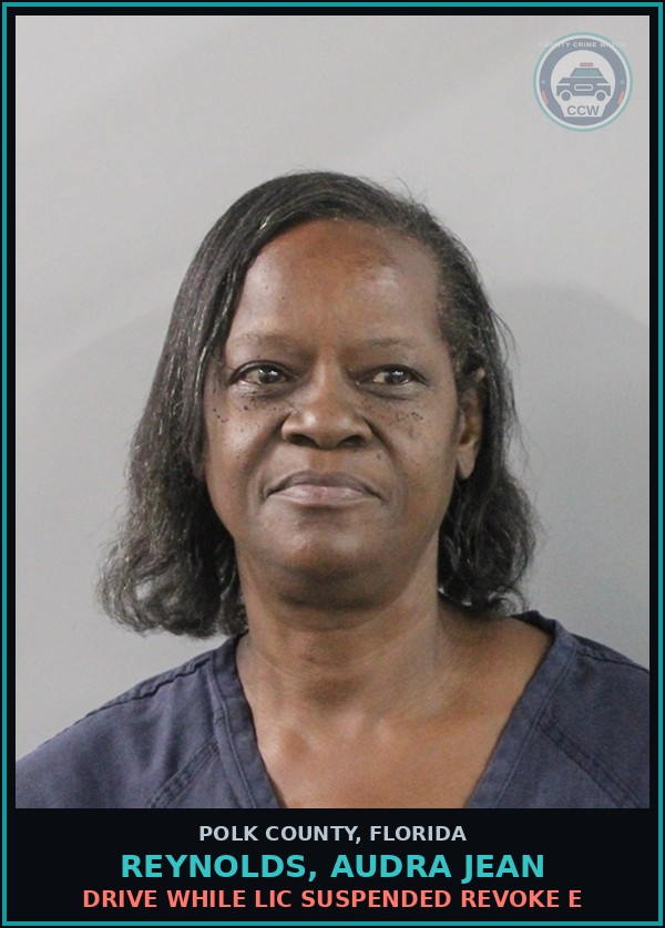 Booking mugshot of REYNOLDS, AUDRA JEAN in Polk County