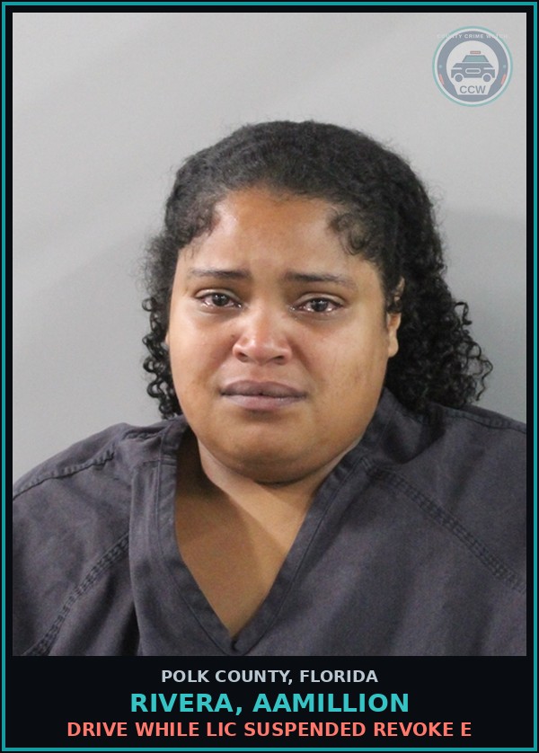 Booking mugshot of RIVERA, AAMILLION in Polk County