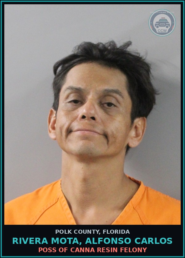 Booking mugshot of RIVERA MOTA, ALFONSO CARLOS in Polk County