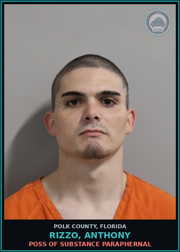 Booking mugshot of RIZZO, ANTHONY in Polk County