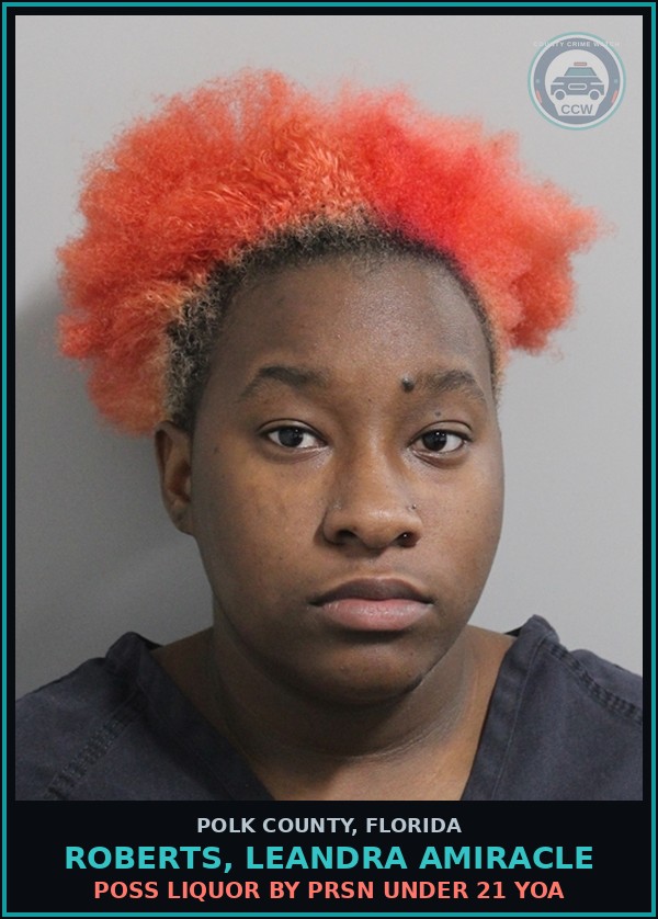 Booking mugshot of ROBERTS, LEANDRA AMIRACLE in Polk County