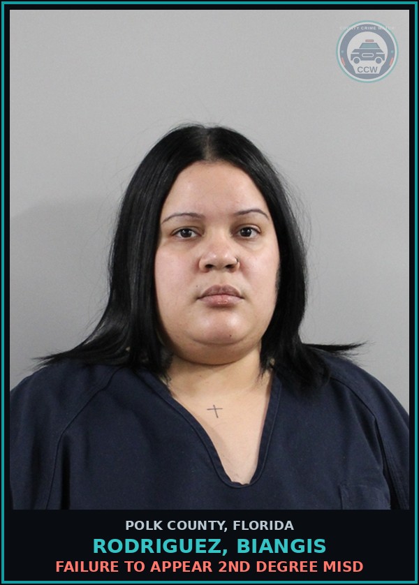 Booking mugshot of RODRIGUEZ, BIANGIS in Polk County