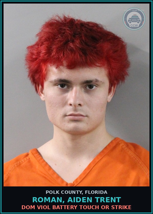 Booking mugshot of ROMAN, AIDEN TRENT in Polk County