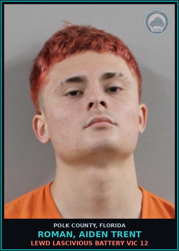 Booking mugshot of ROMAN, AIDEN TRENT in Polk County