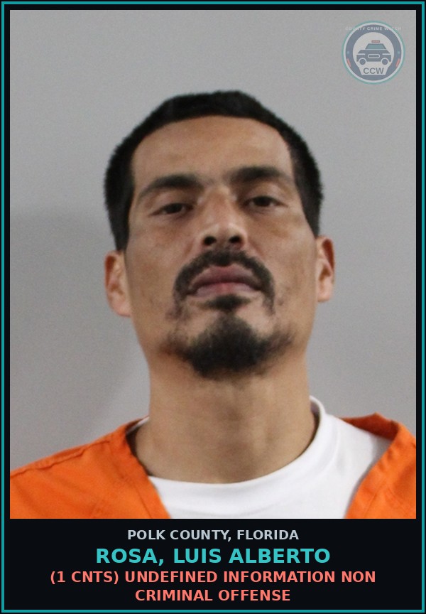 Booking mugshot of ROSA, LUIS ALBERTO in Polk County