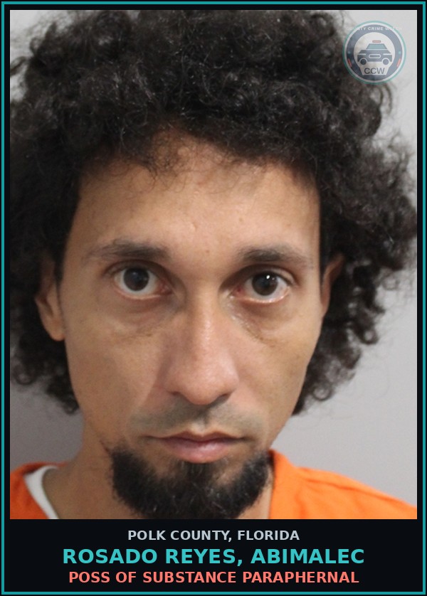 Booking mugshot of ROSADO REYES, ABIMALEC in Polk County