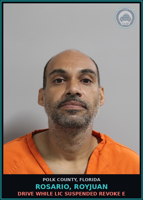 Booking mugshot of ROSARIO, ROYJUAN in Polk County
