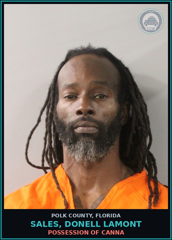 Booking mugshot of SALES, DONELL LAMONT in Polk County