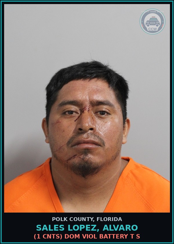 Booking mugshot of SALES LOPEZ, ALVARO in Polk County